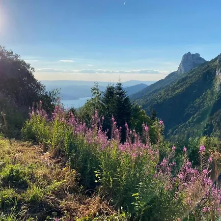 Great Near Annecy Appartement Giez