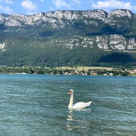 Great Near Annecy Appartement